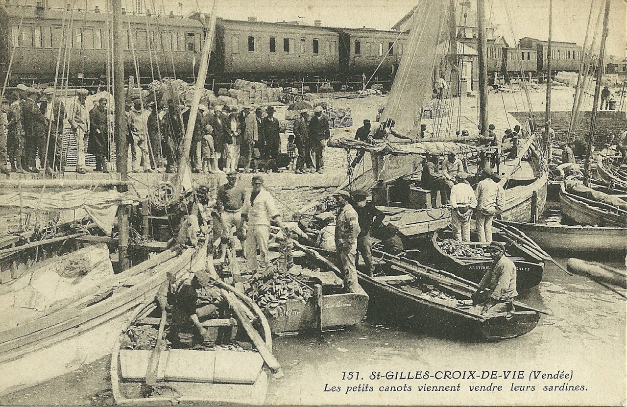 St-Gilles-Croix-de-Vie, vente de la sardine.