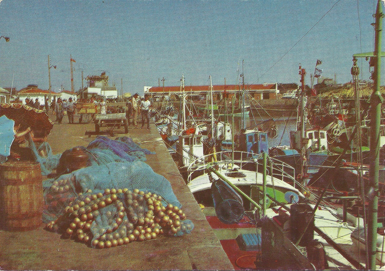 St-Gilles-Croix-de-Vie, réparation des filets tournants sur le quai.