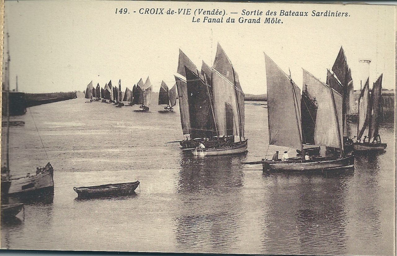 Croix-de-Vie, sortiie des bateaux sardiniers.