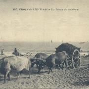 Croix-de-Vie, la récolte du goëmon.