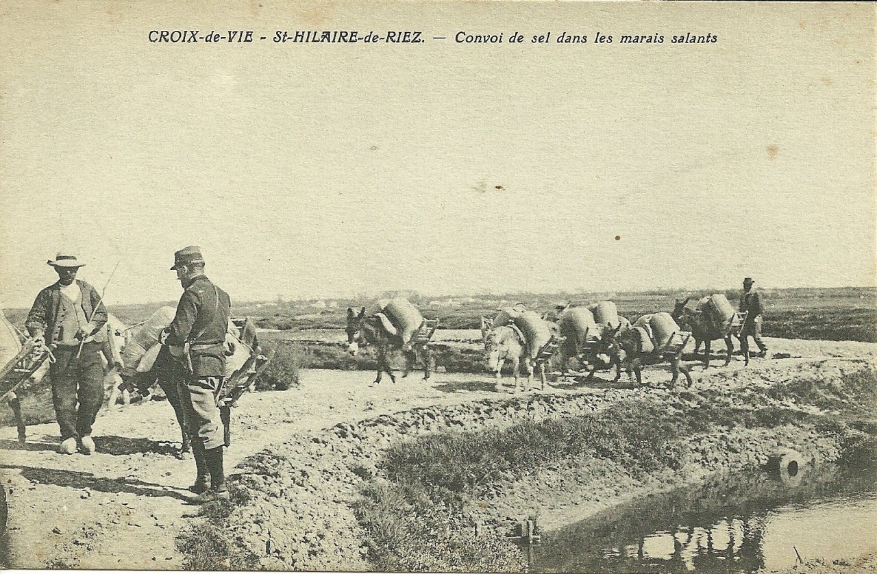 Croix-de-Vie-St-Hilaire-de-Riez, convoi de sel dans les marais.