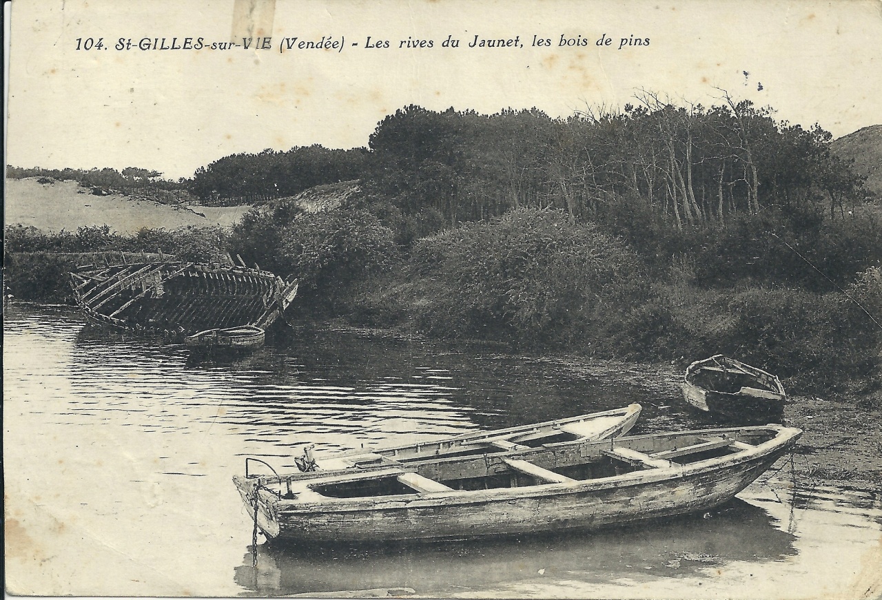 St-Gilles-sur-Vie, les rives du Jaunay, les bois de pins.