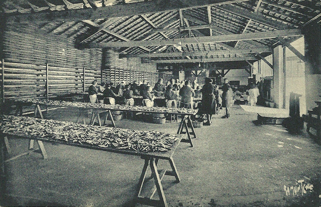 Croix-de-Vie, usine de conserves de sardines.