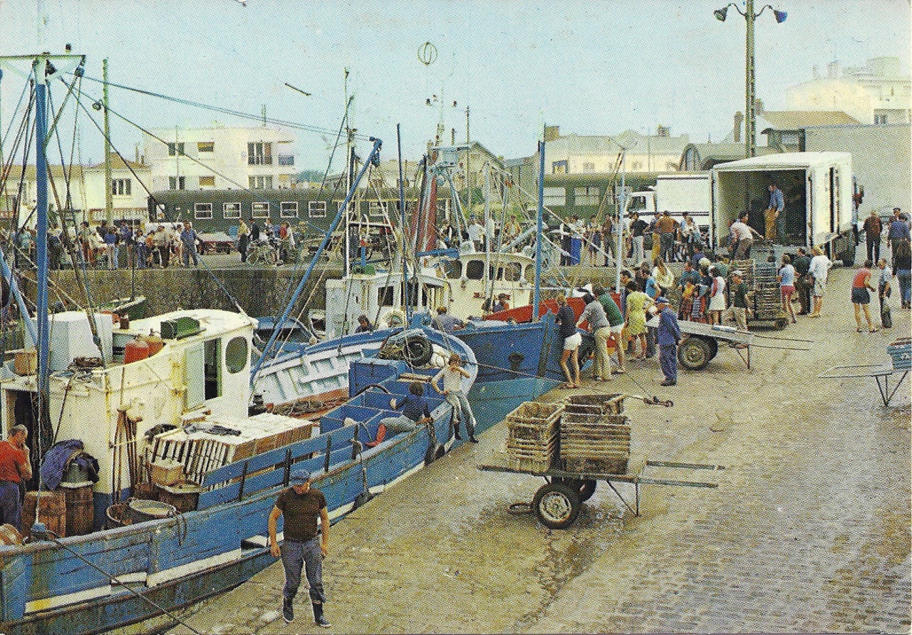 St-Gilles-Croix-de-Vie, activité du port.