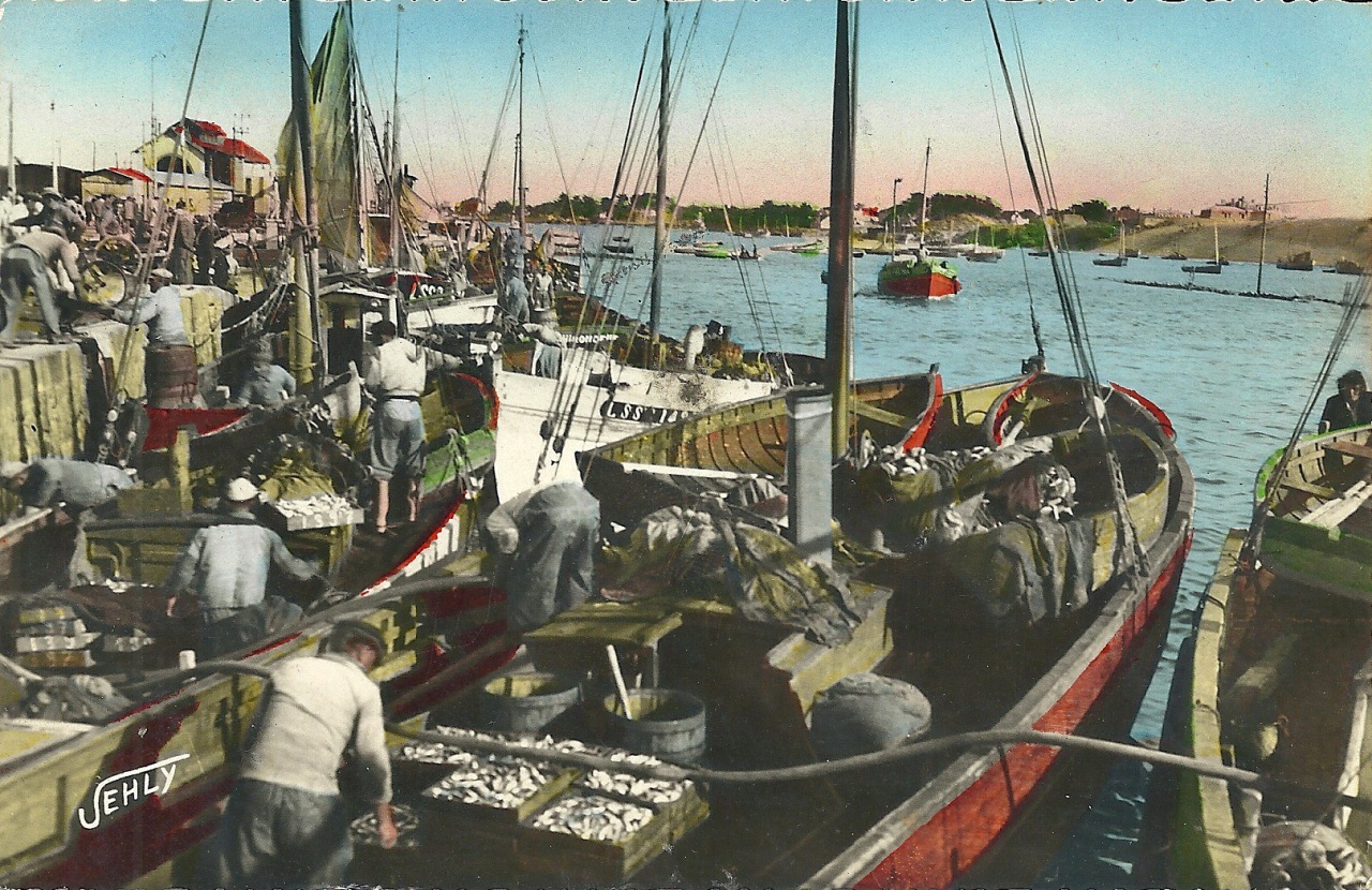 Croix-de-Vie, retour des bateaux de la pêche à la sardine.