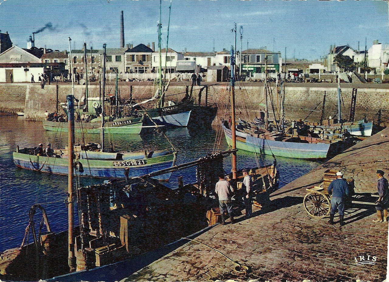 Croix-de-Vie, le port.
