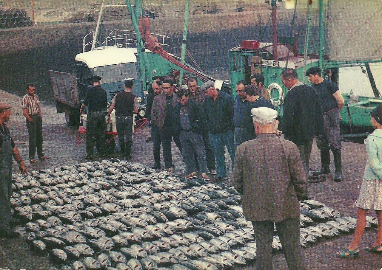 St-Gilles-Croix-de-Vie, le débarquement du thon,