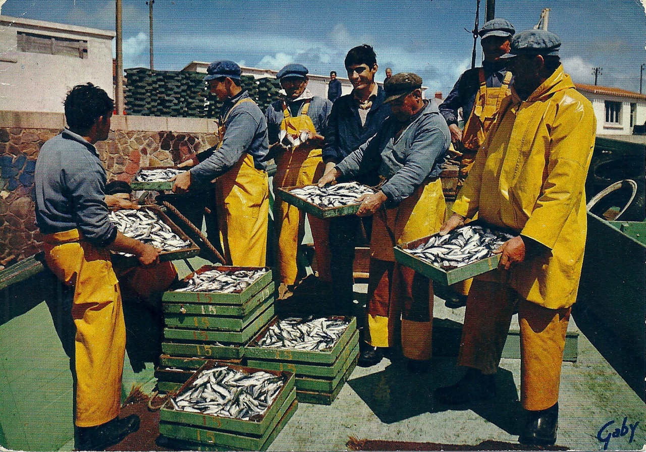 Croix-de-Vie, le débarquement de la sardine.