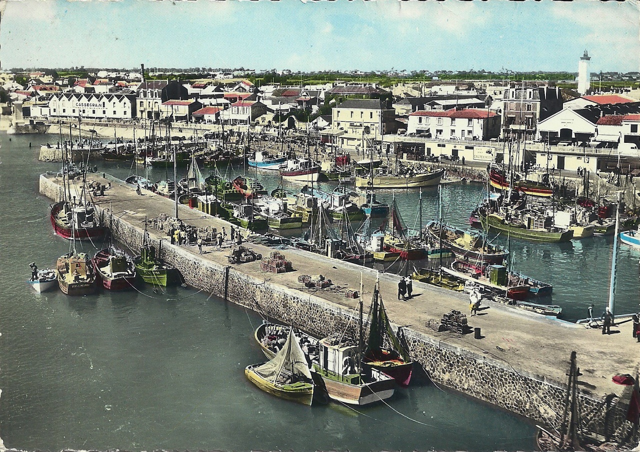 Croix-de-Vie, en avion au-dessus du port.