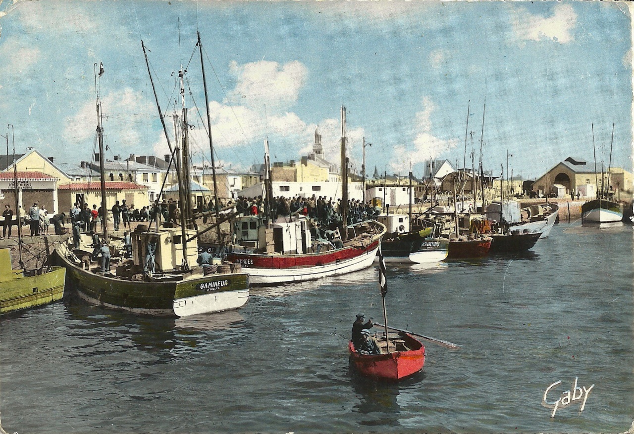 Croix-de-Vie, le port.