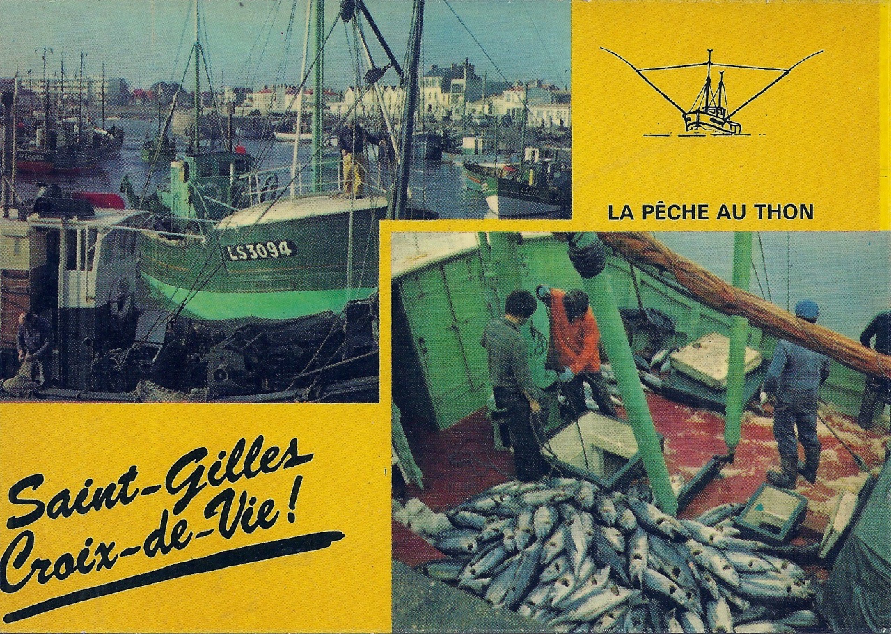 St-Gilles-Croix-de-Vie, la pêche au thon.