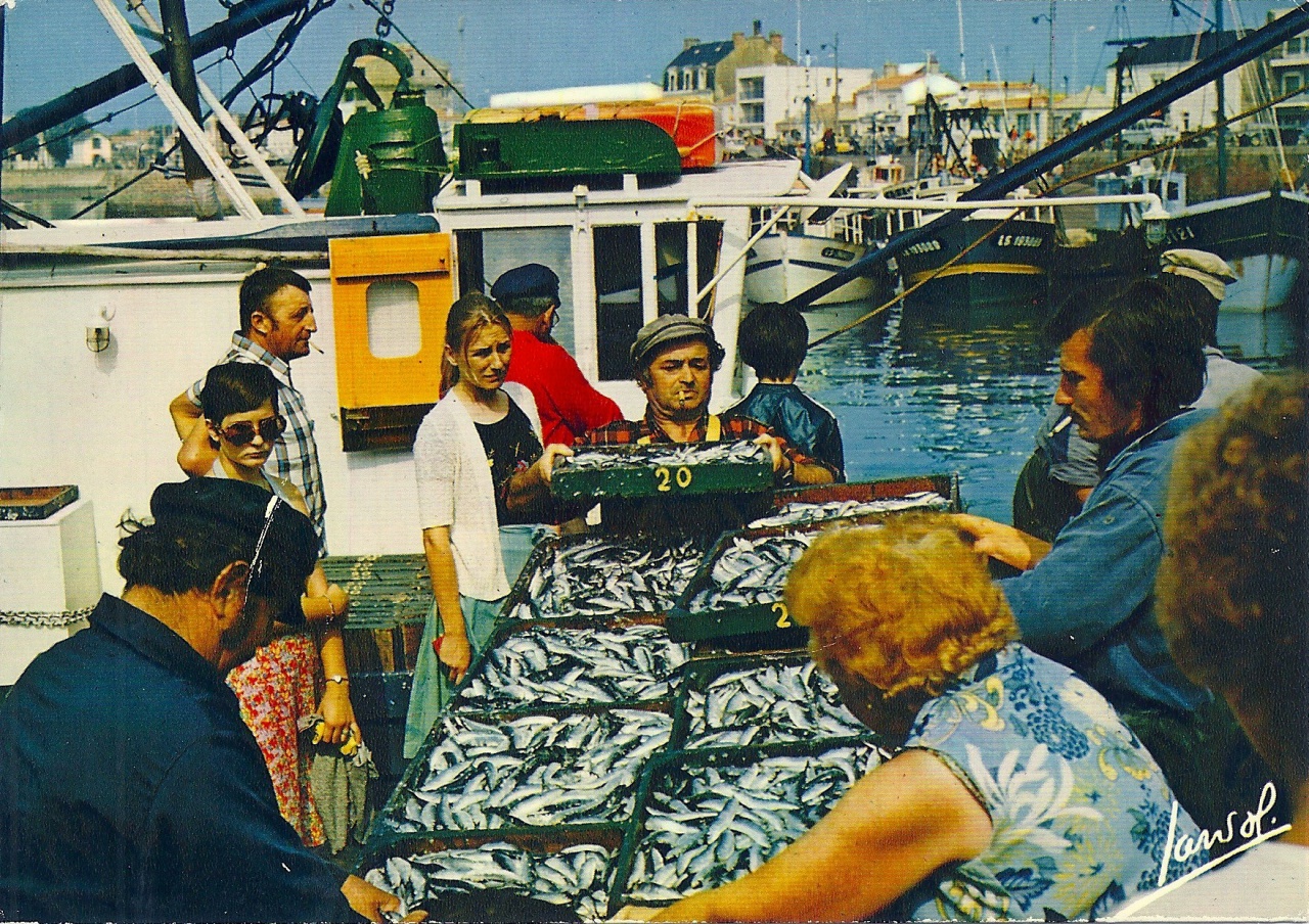 St-Gilles-Croix-de-Vie, les sardiniers.