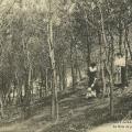St-Gilles-sur-Vie, le bois de pins près de la plage.