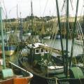 Croix-de-Vie, le port.