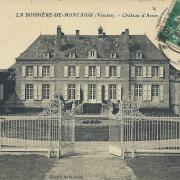 La Boissière-de-Montaigu, le château d'Asson.