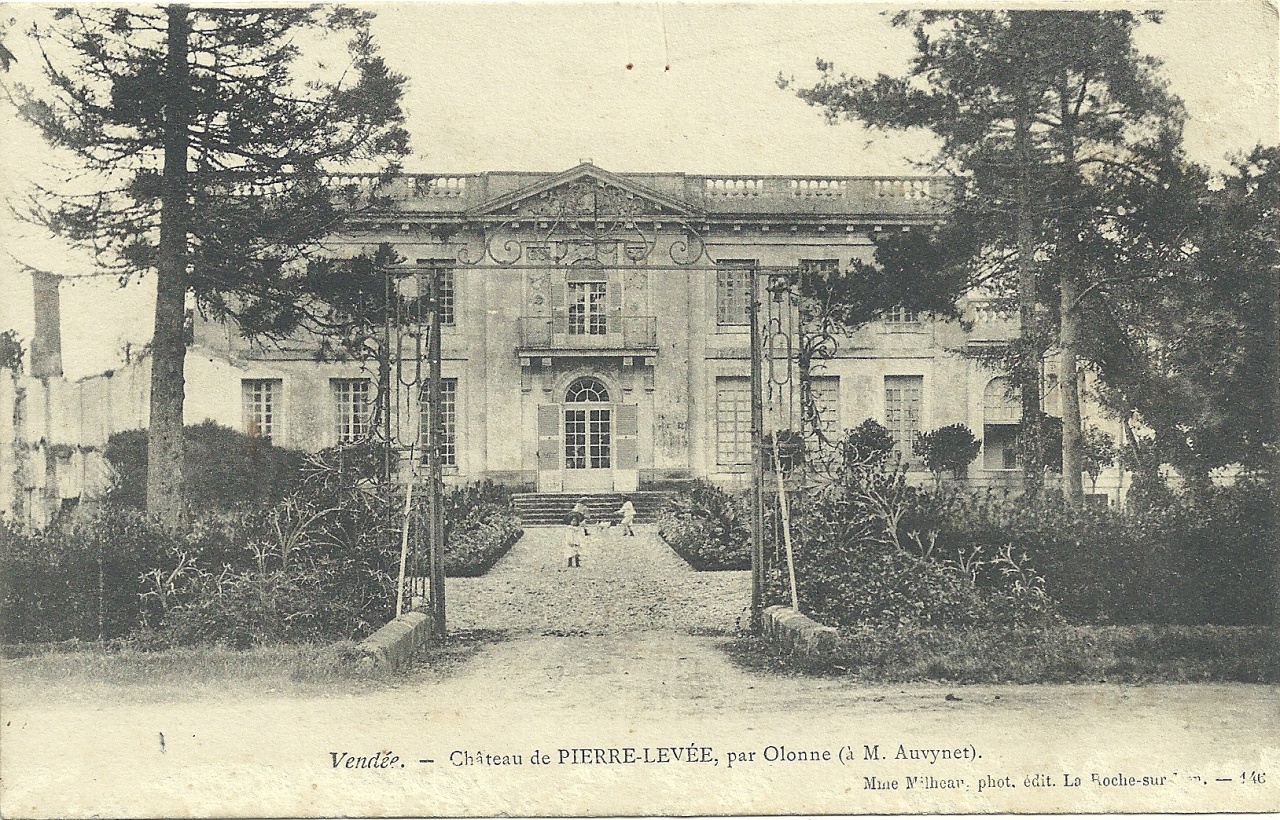 Olonne, le château de Pierre-Levée.