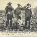 L'histoire du singe, de Sumatra à St-Gilles-sur-Vie.