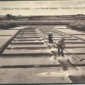 Croix-de-Vie, les marais salants, paludiers tirant le sel.