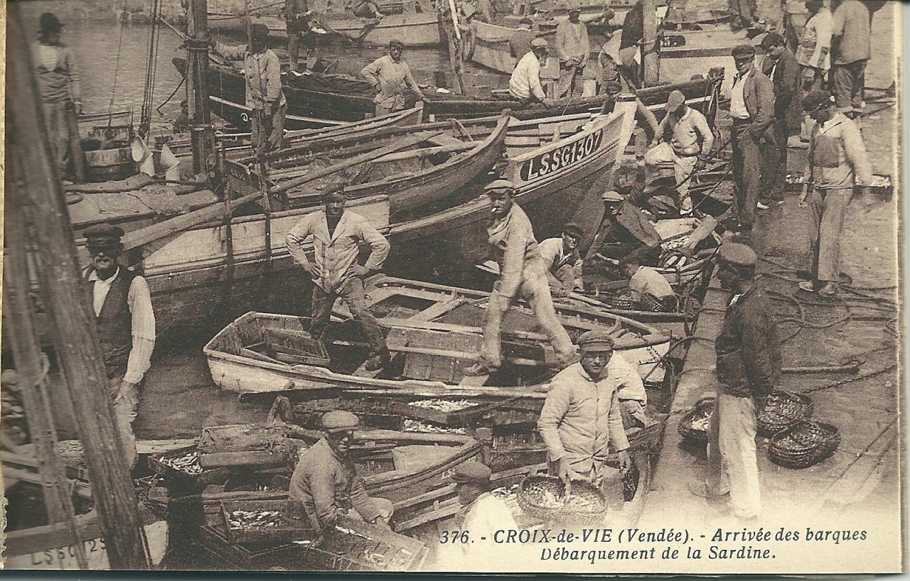 Croix-de-Vie, débarquement de la sardine.