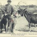 St-Gilles-Croix-de-Vie, la foire aux bourins.