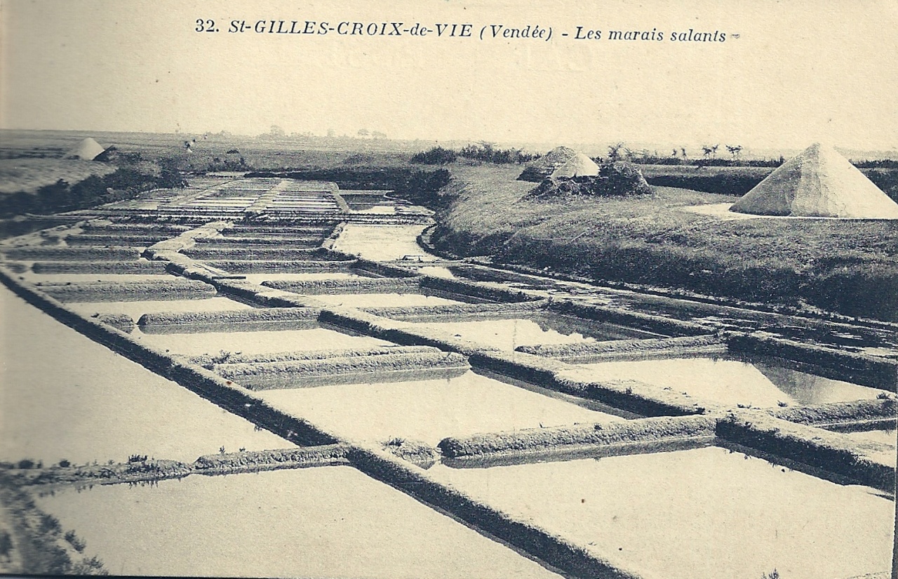 St-Gilles-Croix-de-Vie, les marais salants.