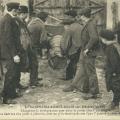 L'histoire du singe, de Sumatra à St-Gilles-sur-Vie.