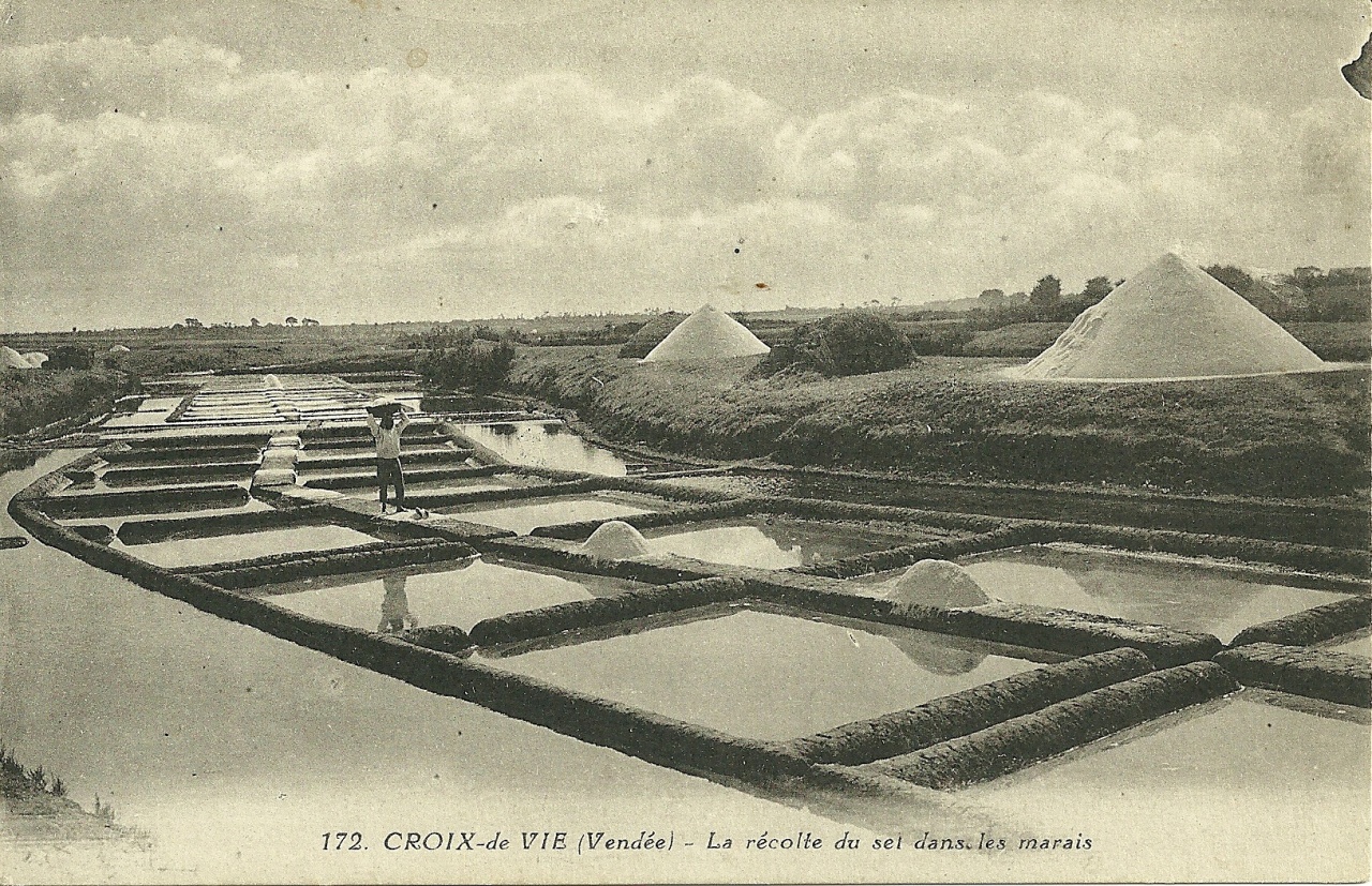 Croix-de-Vie, la récolte du sel dans les marais.