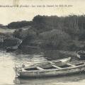 St-Gilles-sur-Vie, les rives du Jaunay, les bois de pins.