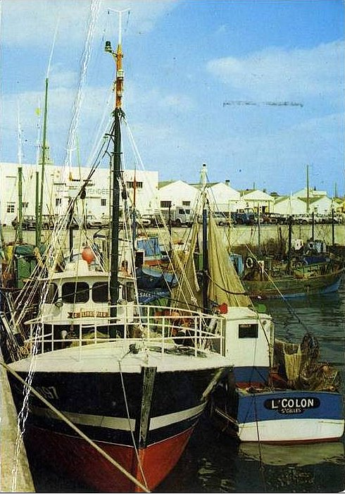 Croix-de-Vie, bateaux au port.