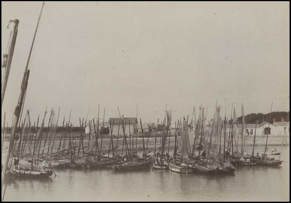 Croix-de-Vie, les bateaux dans le port.