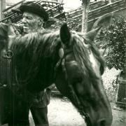 Marché de Croix-de-Vie,.