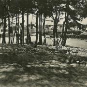 St-Gilles-sur-Vie, à travers le pins.