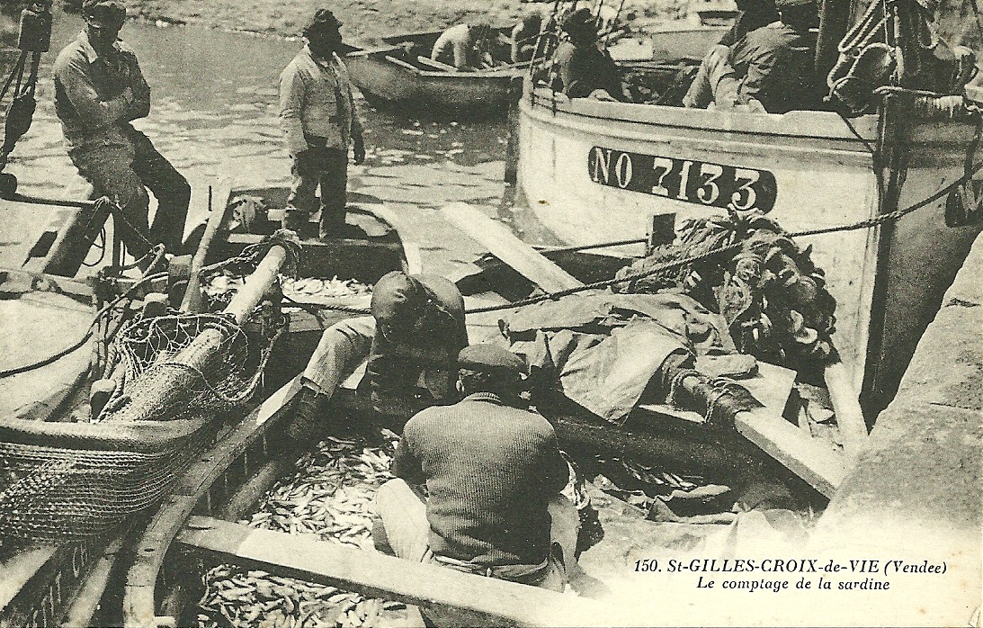 St-Gilles-Croix-de-Vie, le comptage de la sardine.