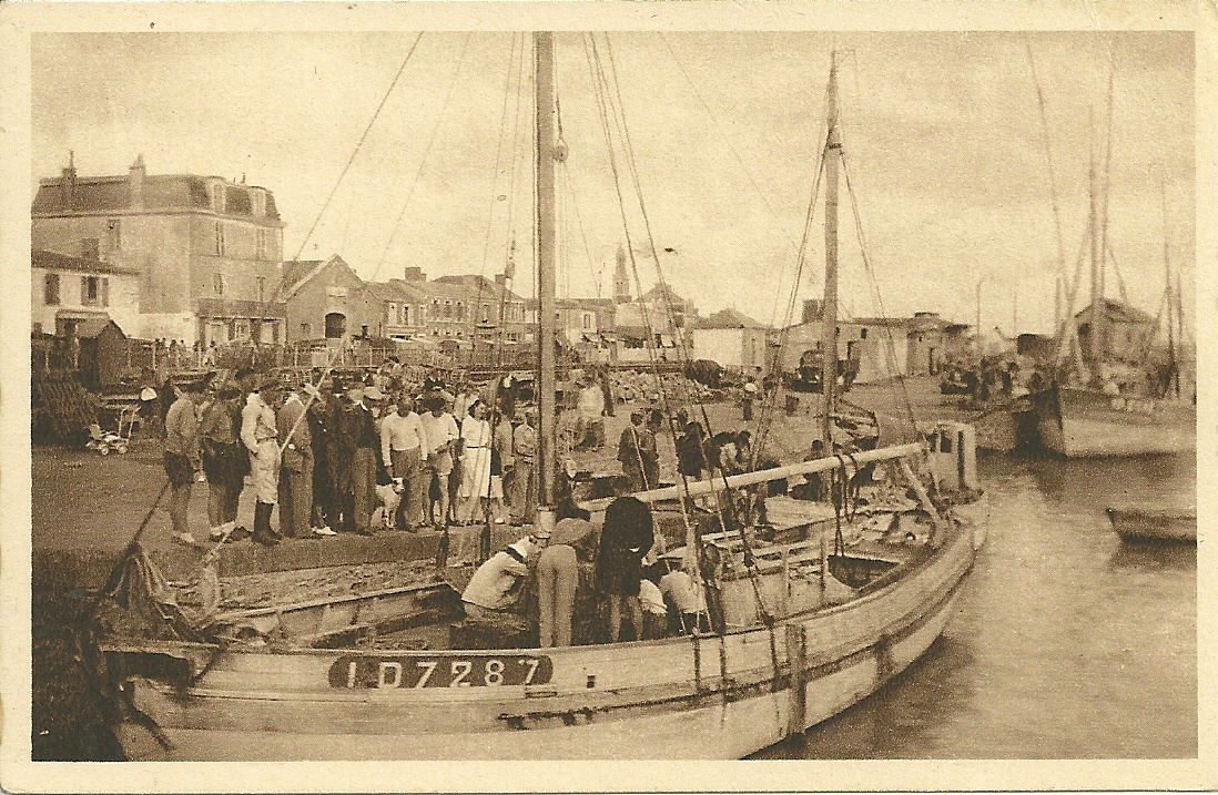 Croix-de-Vie, arrivée d'un langoustier dans le port.
