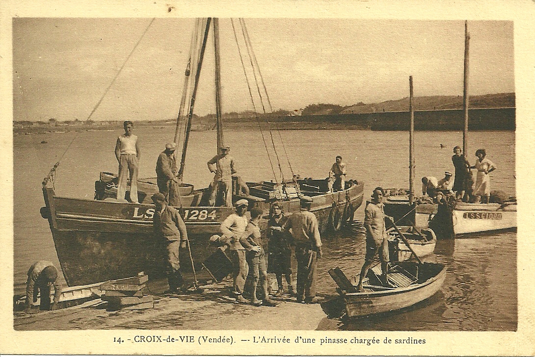Croix-de-Vie, l'arrivée d'une piansse chargée de sardines.