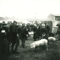 Marché de Croix-de-Vie,.