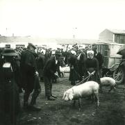 Marché de Croix-de-Vie,.