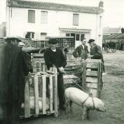 Marché de Croix-de-Vie,.